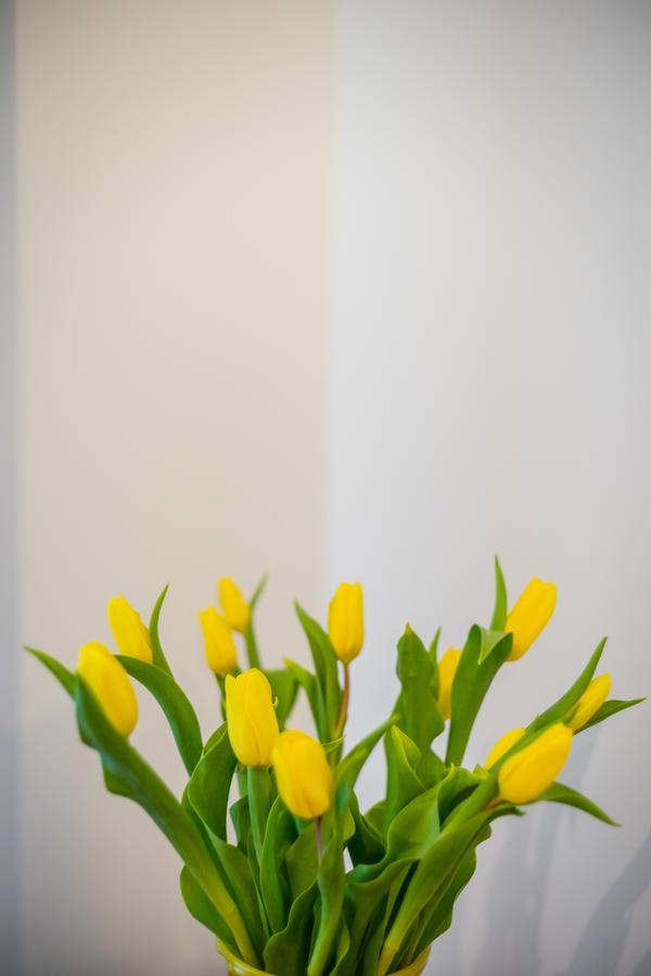 קרקוב Apartament Zacisze Wawelofts מראה חיצוני תמונה